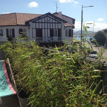 Iberia 1 T3 A 200 M De La Avec Parking Prive 昂代